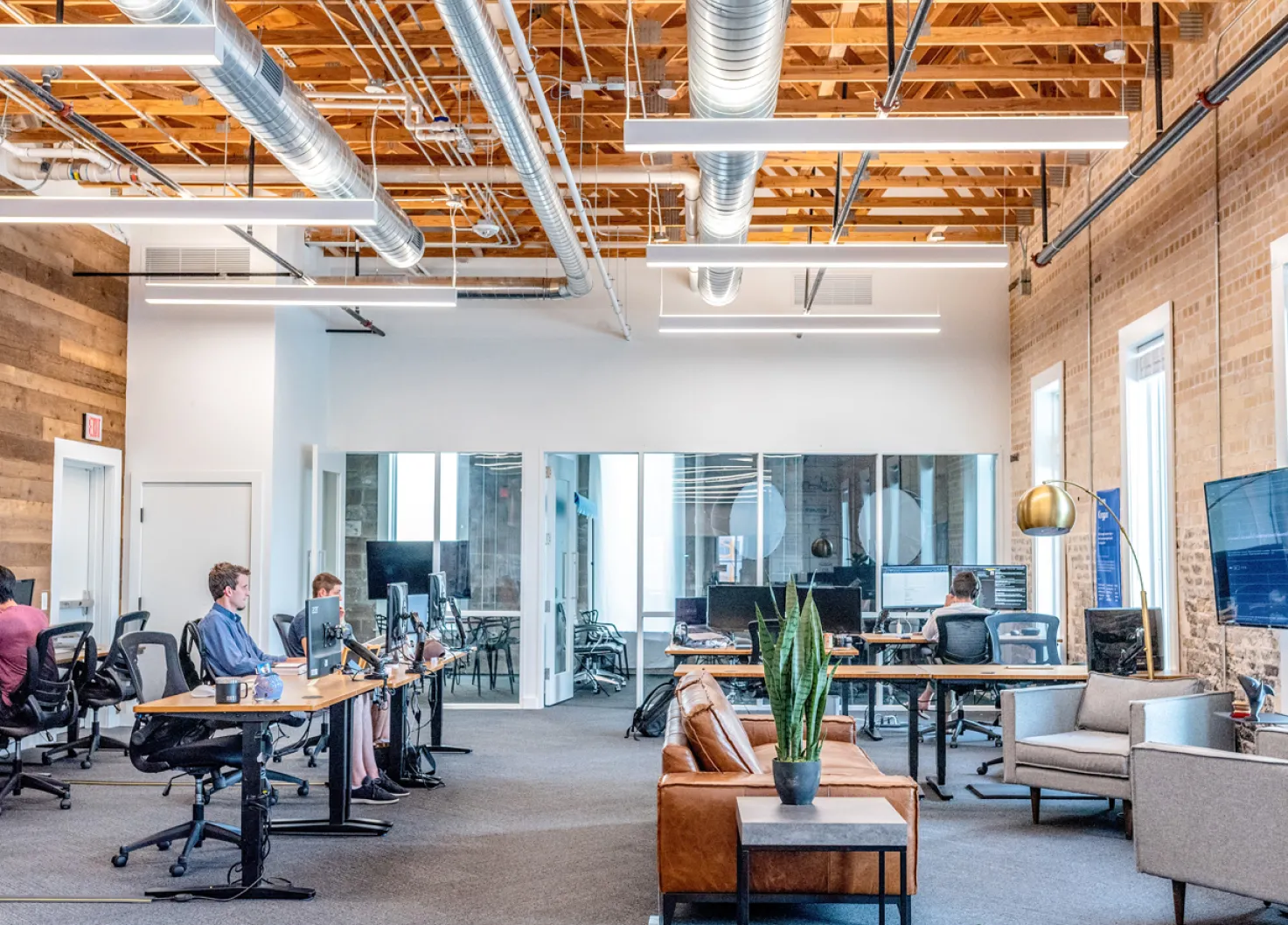 About Olive Pulishers