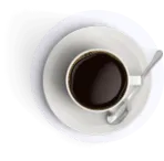 Contact With Book Translation Expert | Olive Publishers